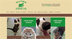 Desktop Screenshot of hillviewvets.com